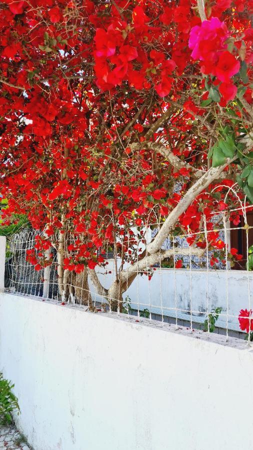 Arrabida Cozy House Villa Palmela Ngoại thất bức ảnh